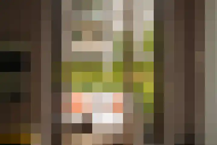 Saskia van Uijlenburgkade 89 Amsterdam thumbnail 28