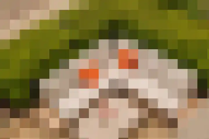 Saskia van Uijlenburgkade 89 Amsterdam thumbnail 29