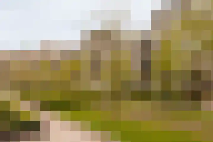 Saskia van Uijlenburgkade 89 Amsterdam thumbnail 33