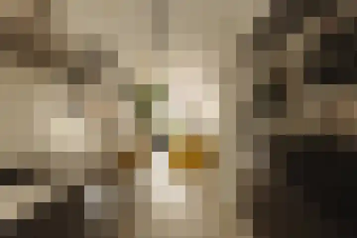 Saskia van Uijlenburgkade 89 Amsterdam thumbnail 4