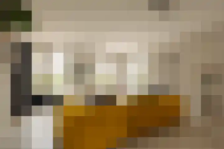 Saskia van Uijlenburgkade 89 Amsterdam thumbnail 5