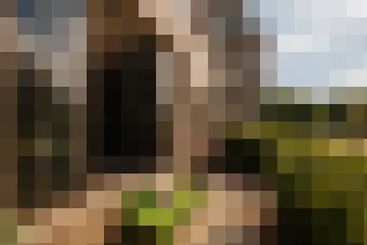 Saskia van Uijlenburgkade 89 Amsterdam thumbnail 8