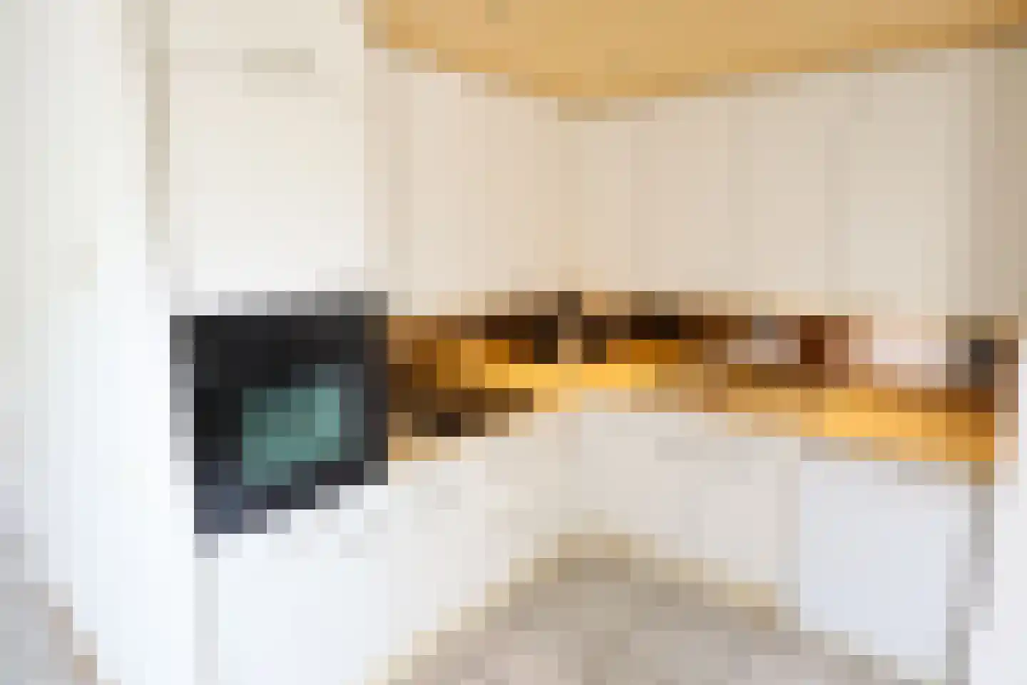 Saskiadonk 2 Roosendaal thumbnail 10