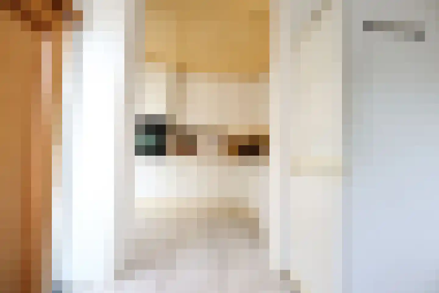 Saskiadonk 2 Roosendaal thumbnail 12