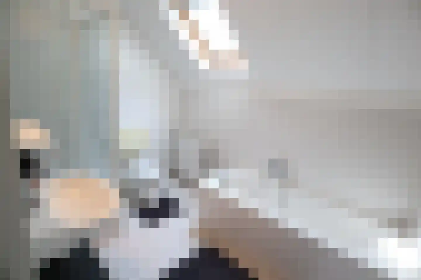 Saskiadonk 2 Roosendaal thumbnail 18