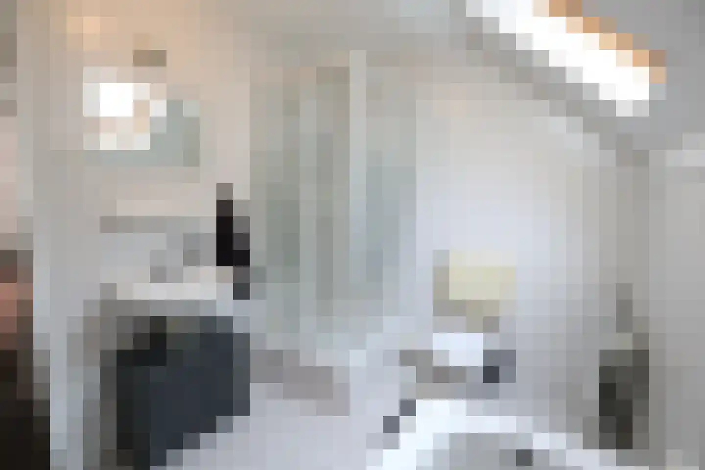 Saskiadonk 2 Roosendaal thumbnail 19