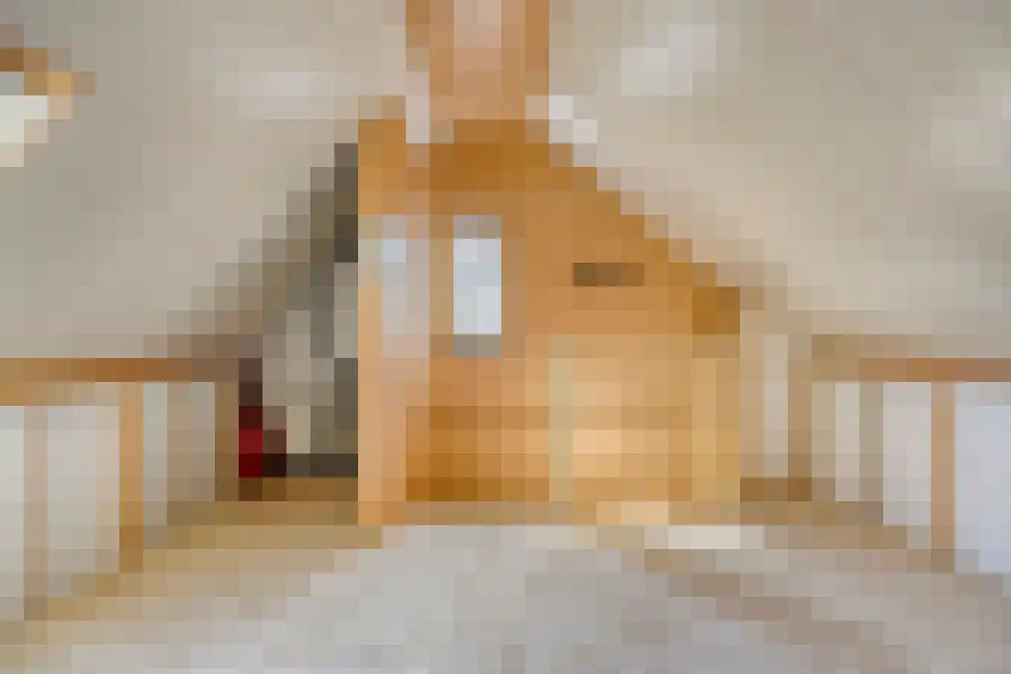 Saskiadonk 2 Roosendaal thumbnail 27