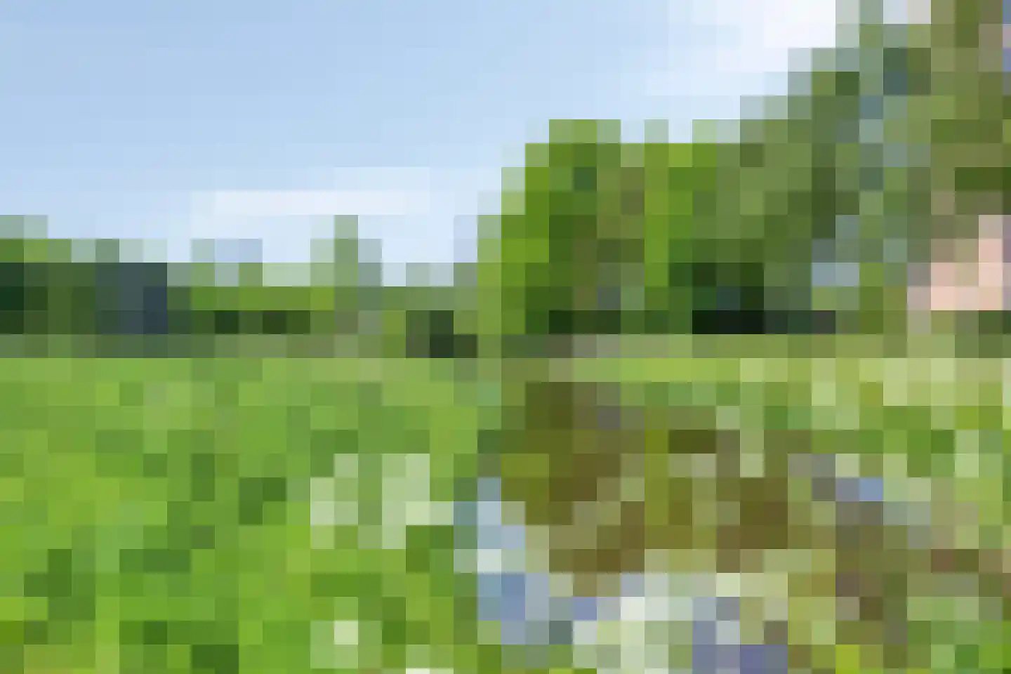 Saskiadonk 2 Roosendaal thumbnail 33