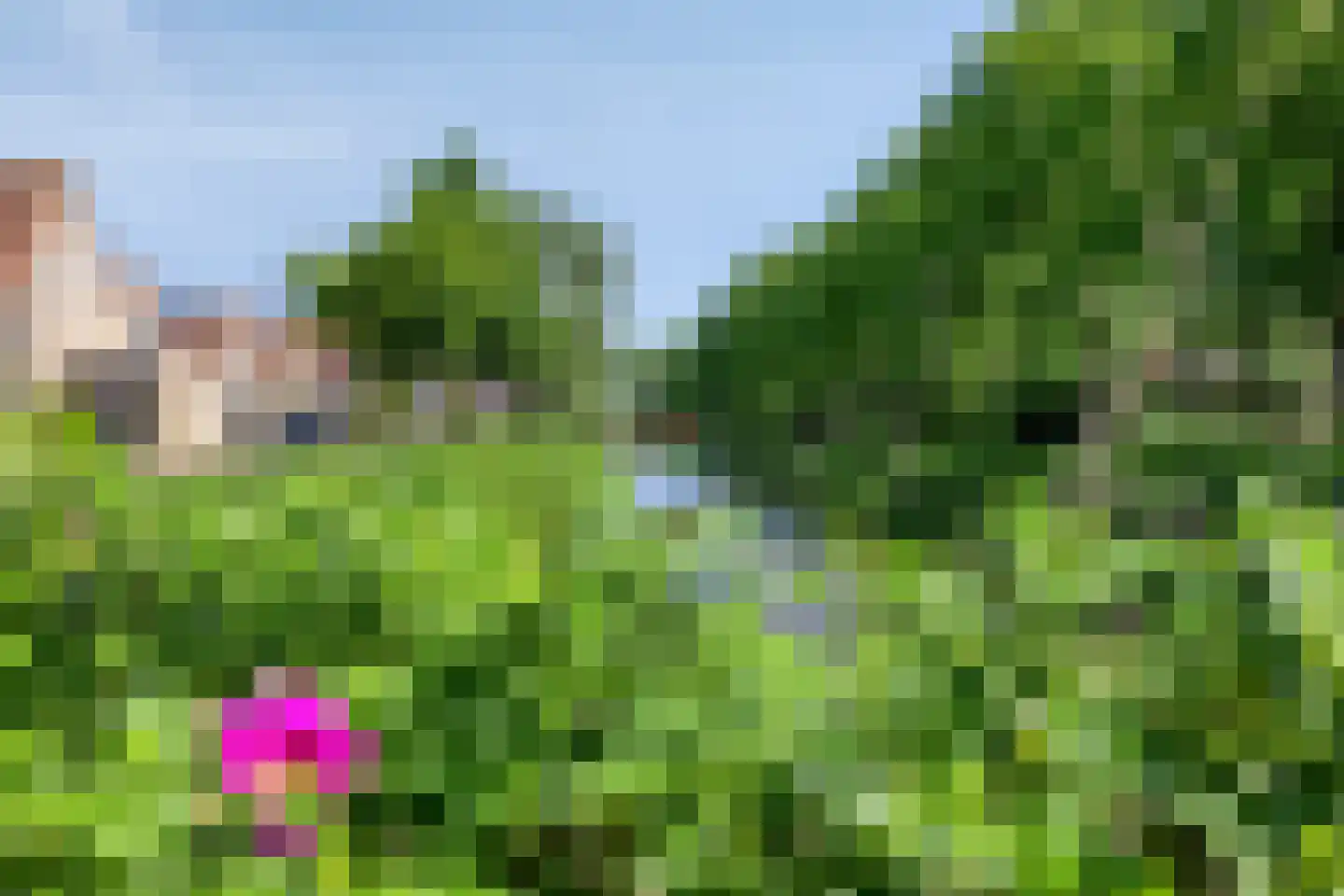 Saskiadonk 2 Roosendaal thumbnail 34