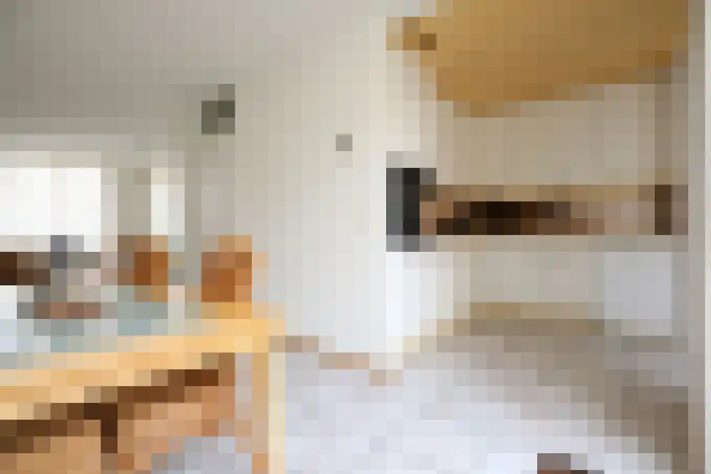 Saskiadonk 2 Roosendaal thumbnail 8