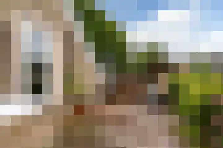 Saskiastraat 20 Leeuwarden thumbnail 17