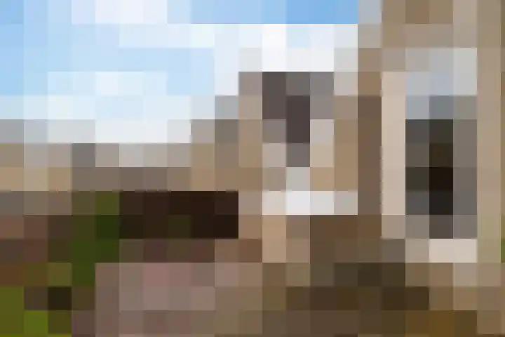Saskiastraat 20 Leeuwarden thumbnail 18