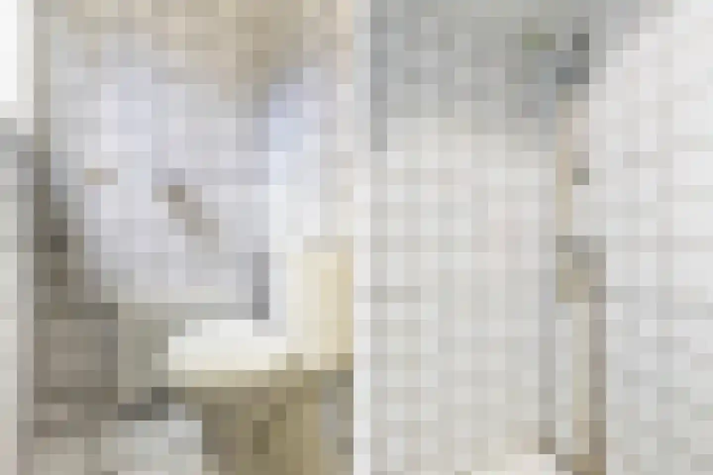 Saskiastraat 8 Leeuwarden thumbnail 18