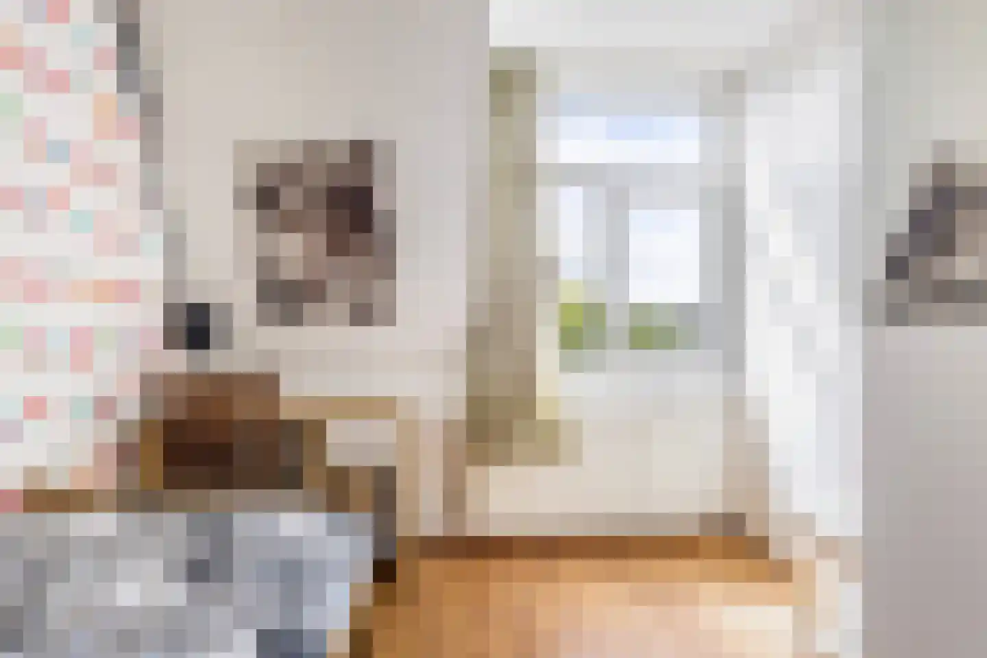 Saskiastraat 8 Leeuwarden thumbnail 21