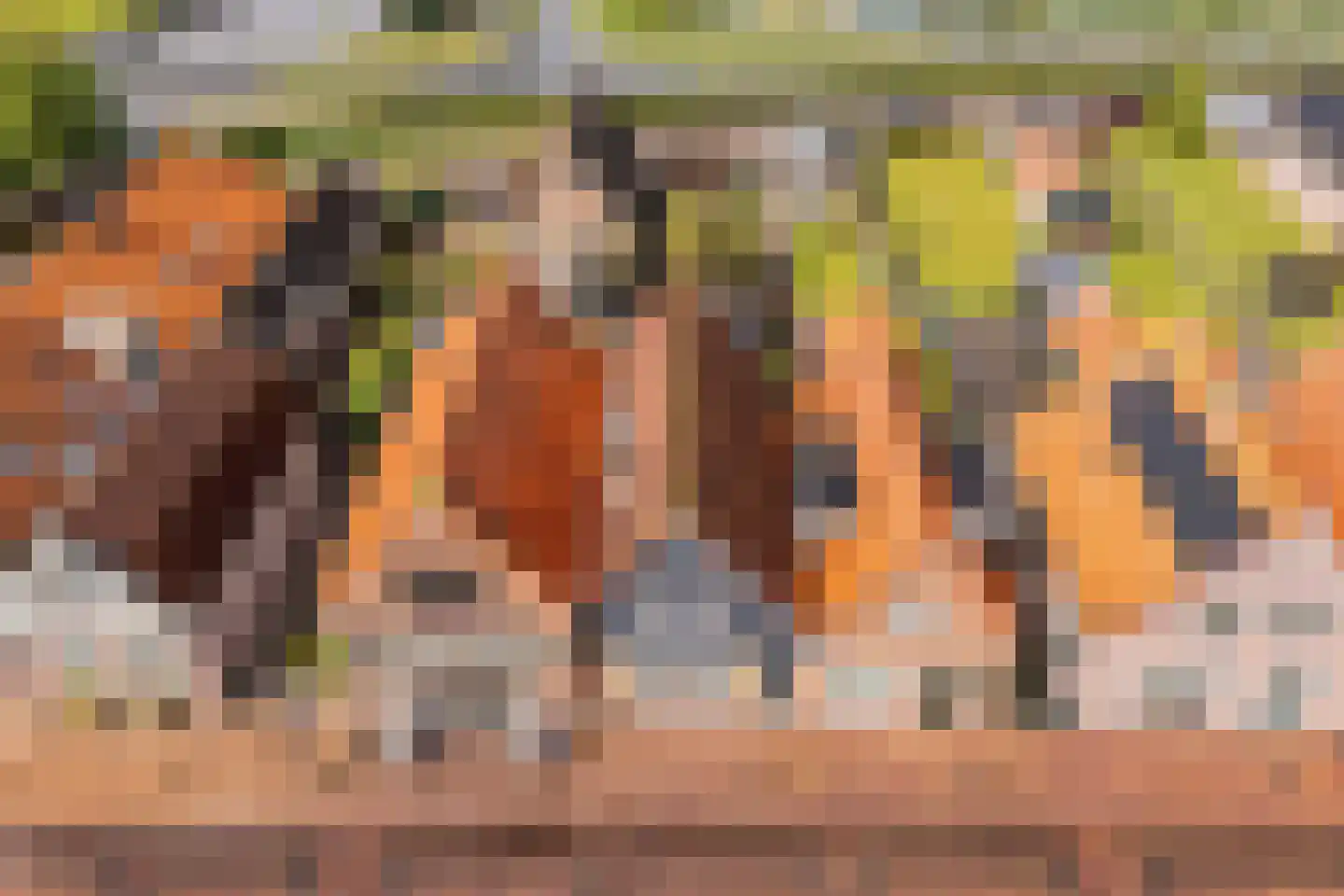 Sasplein 7 Kuinre thumbnail 11