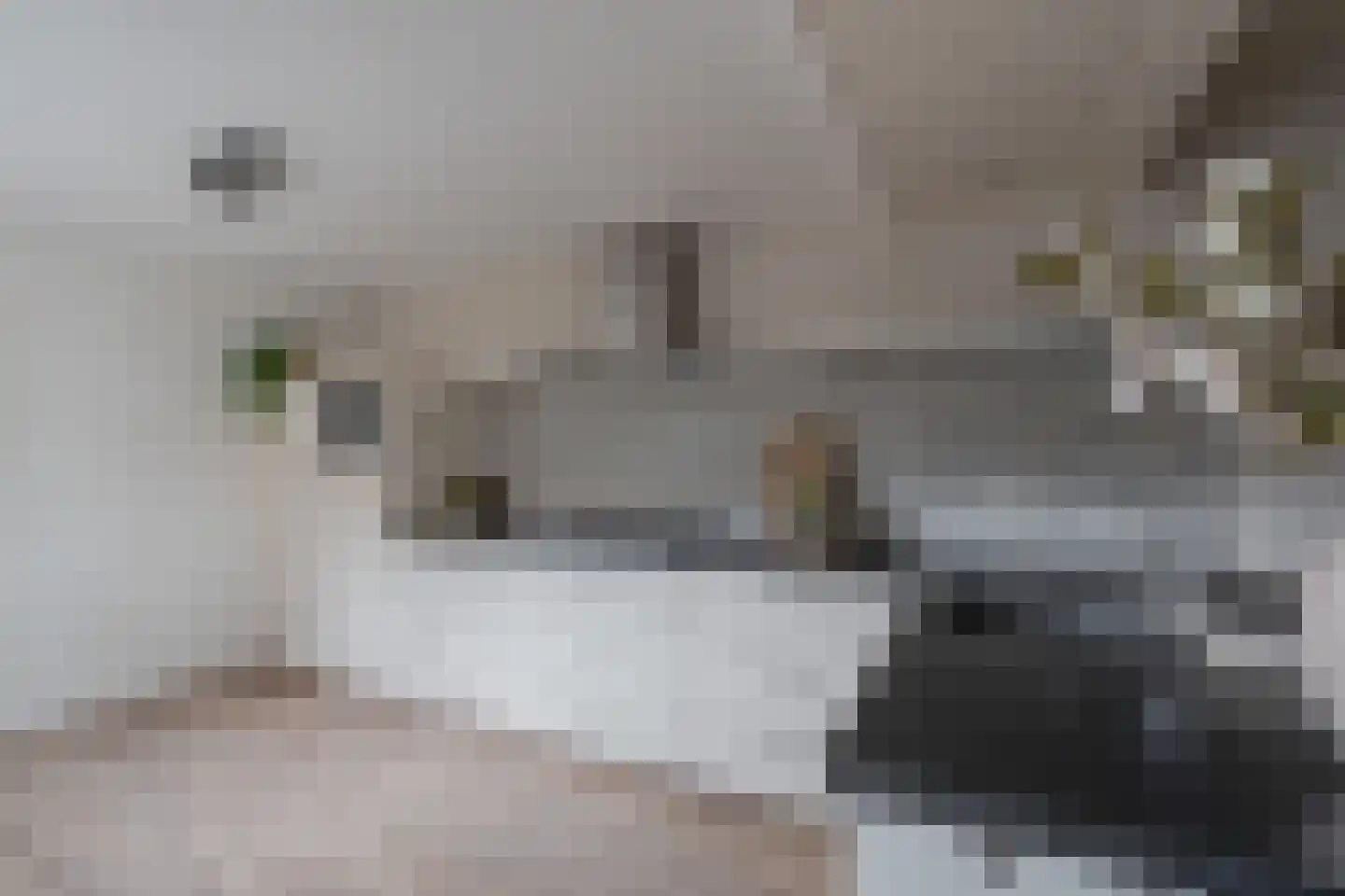 Sasplein 7 Kuinre thumbnail 26