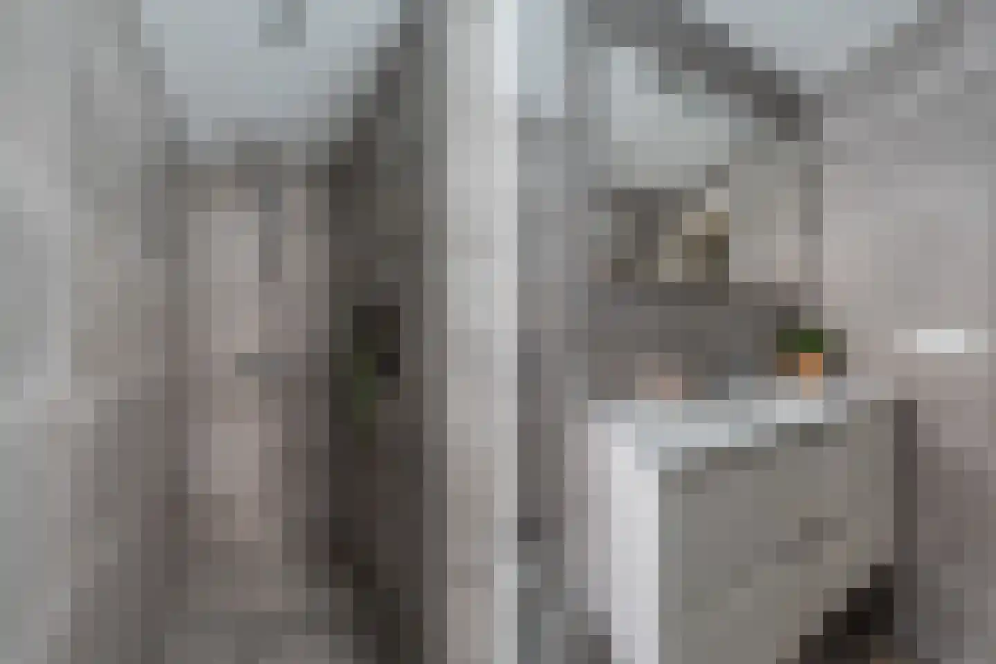 Sasplein 7 Kuinre thumbnail 50