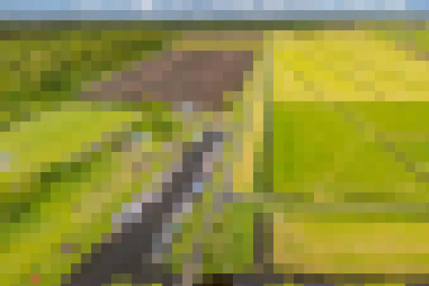 Sasplein 7 Kuinre thumbnail 67
