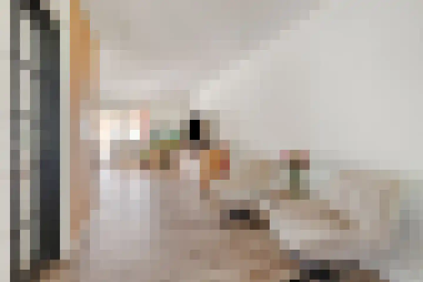 Sasput 5 Schoondijke thumbnail 10
