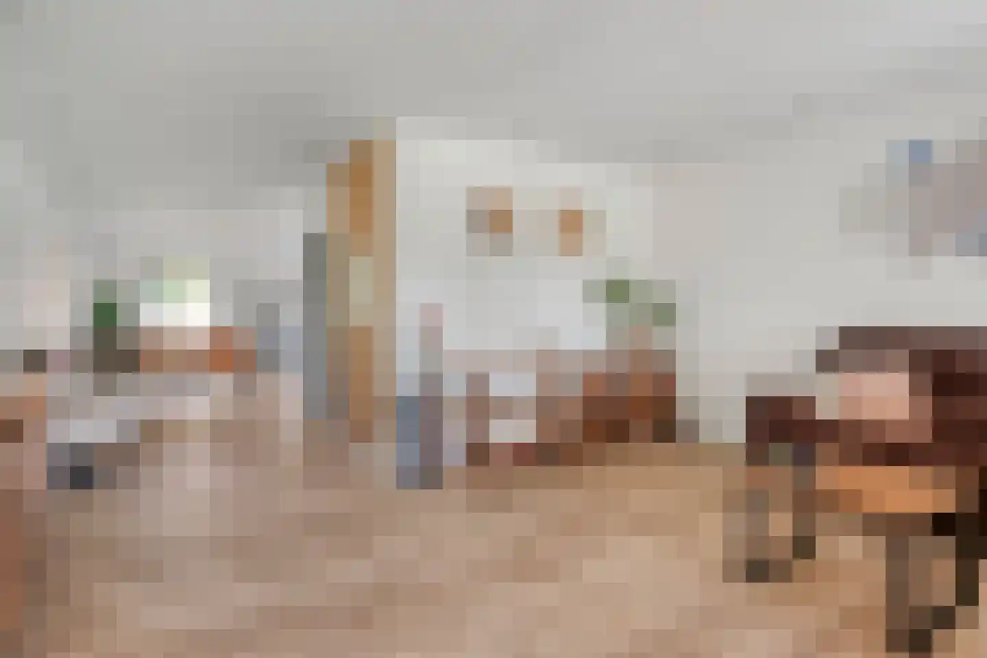 Sasput 5 Schoondijke thumbnail 14
