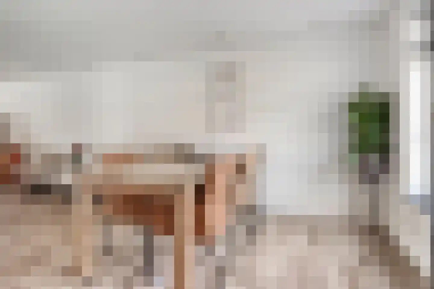 Sasput 5 Schoondijke thumbnail 16