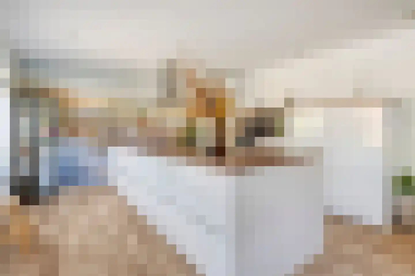 Sasput 5 Schoondijke thumbnail 17