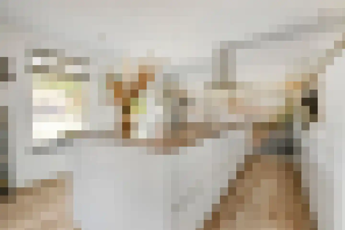 Sasput 5 Schoondijke thumbnail 19
