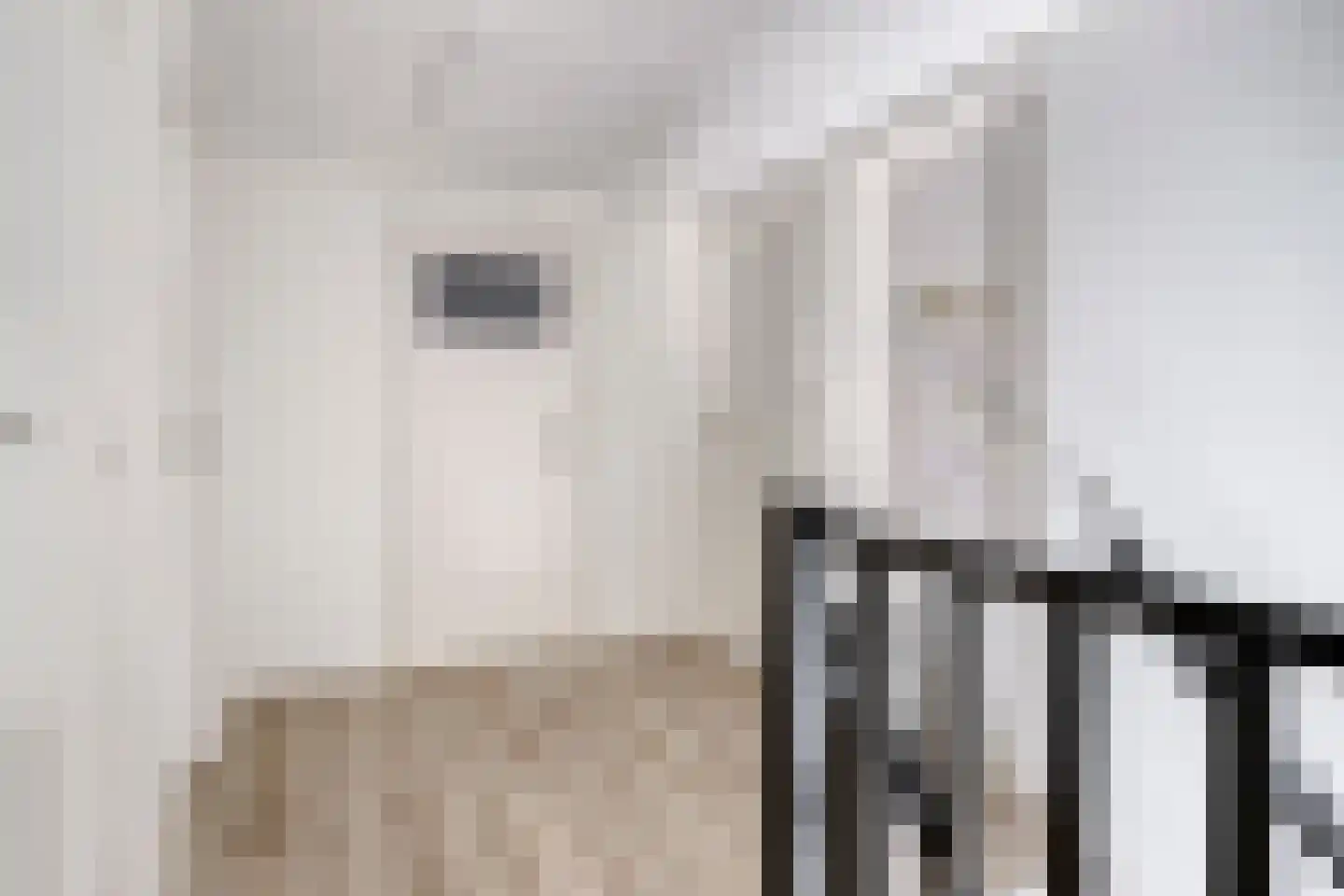 Sasput 5 Schoondijke thumbnail 23