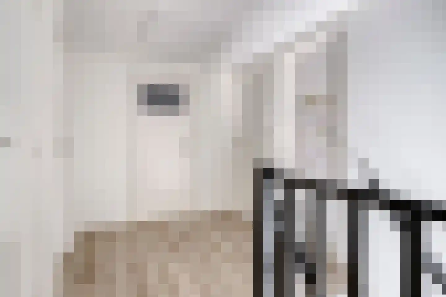 Sasput 5 Schoondijke thumbnail 23