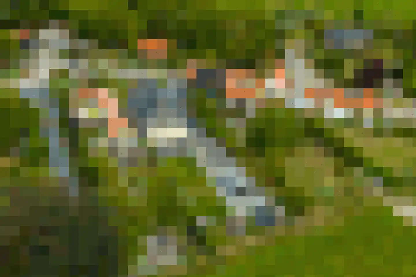 Sasput 5 Schoondijke foto 3