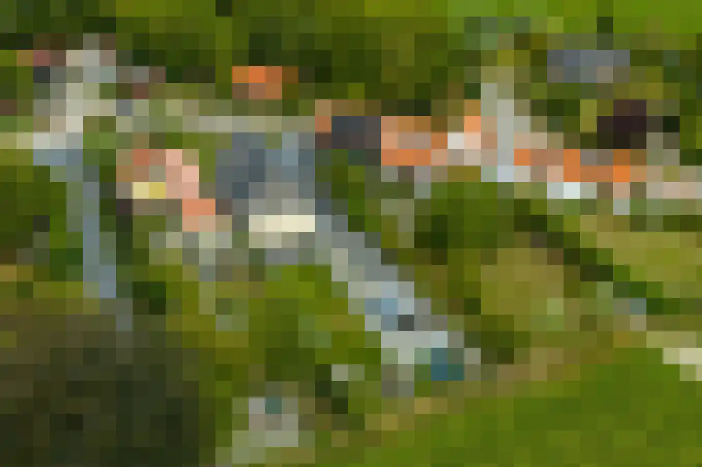 Sasput 5 Schoondijke foto 3