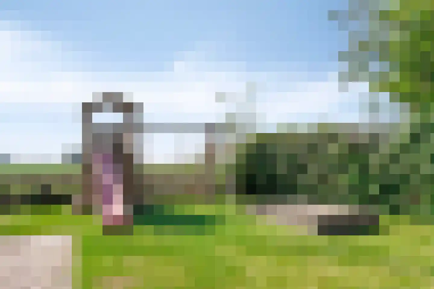 Sasput 5 Schoondijke thumbnail 37