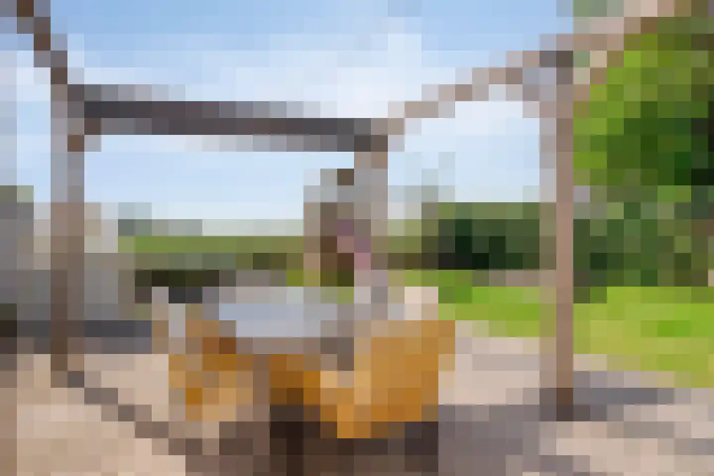 Sasput 5 Schoondijke thumbnail 39