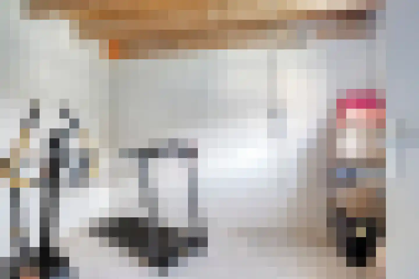 Sasput 5 Schoondijke thumbnail 41