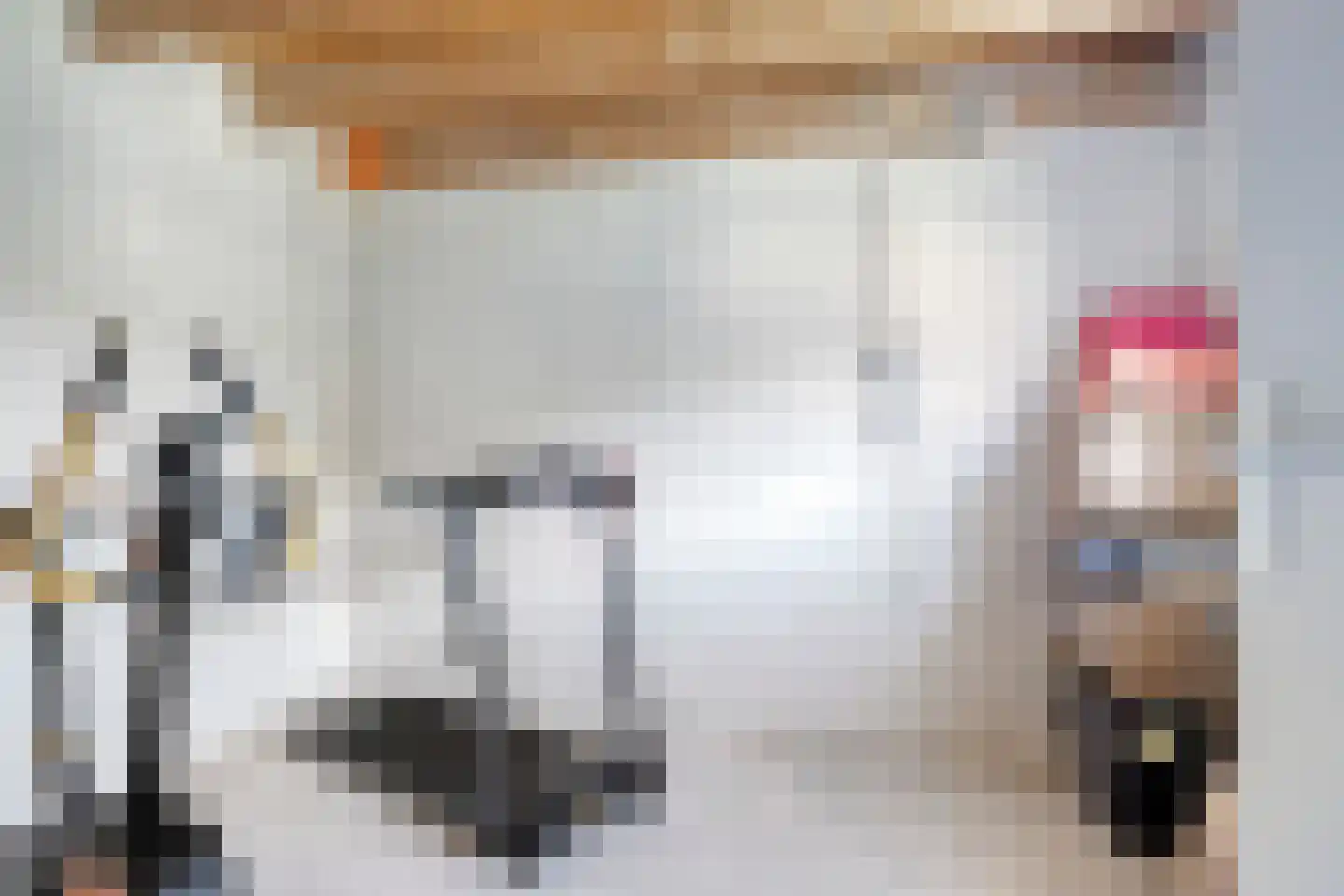 Sasput 5 Schoondijke thumbnail 41