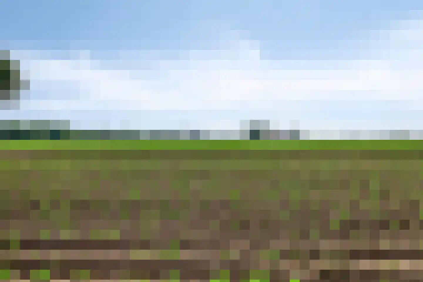 Sasput 5 Schoondijke thumbnail 43