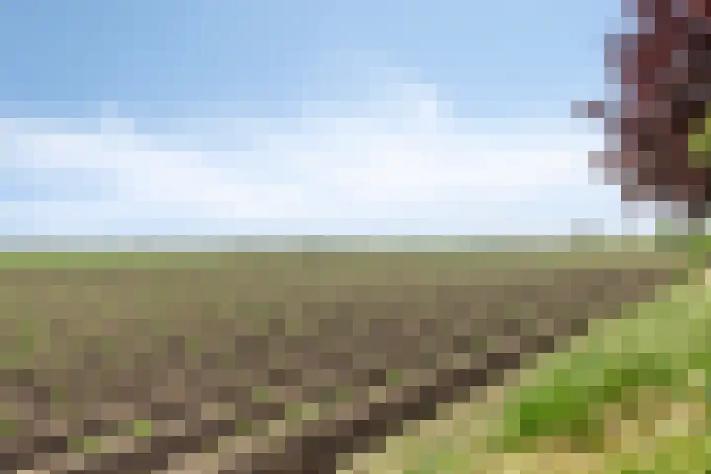 Sasput 5 Schoondijke thumbnail 44
