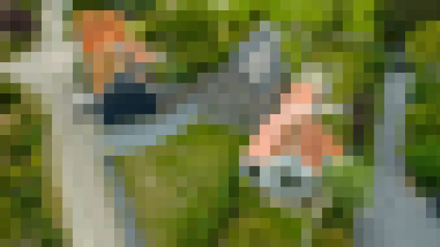 Sasput 5 Schoondijke thumbnail 46