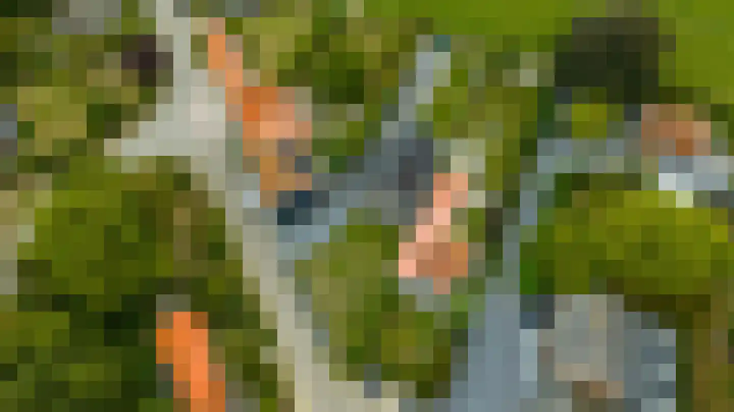 Sasput 5 Schoondijke thumbnail 47
