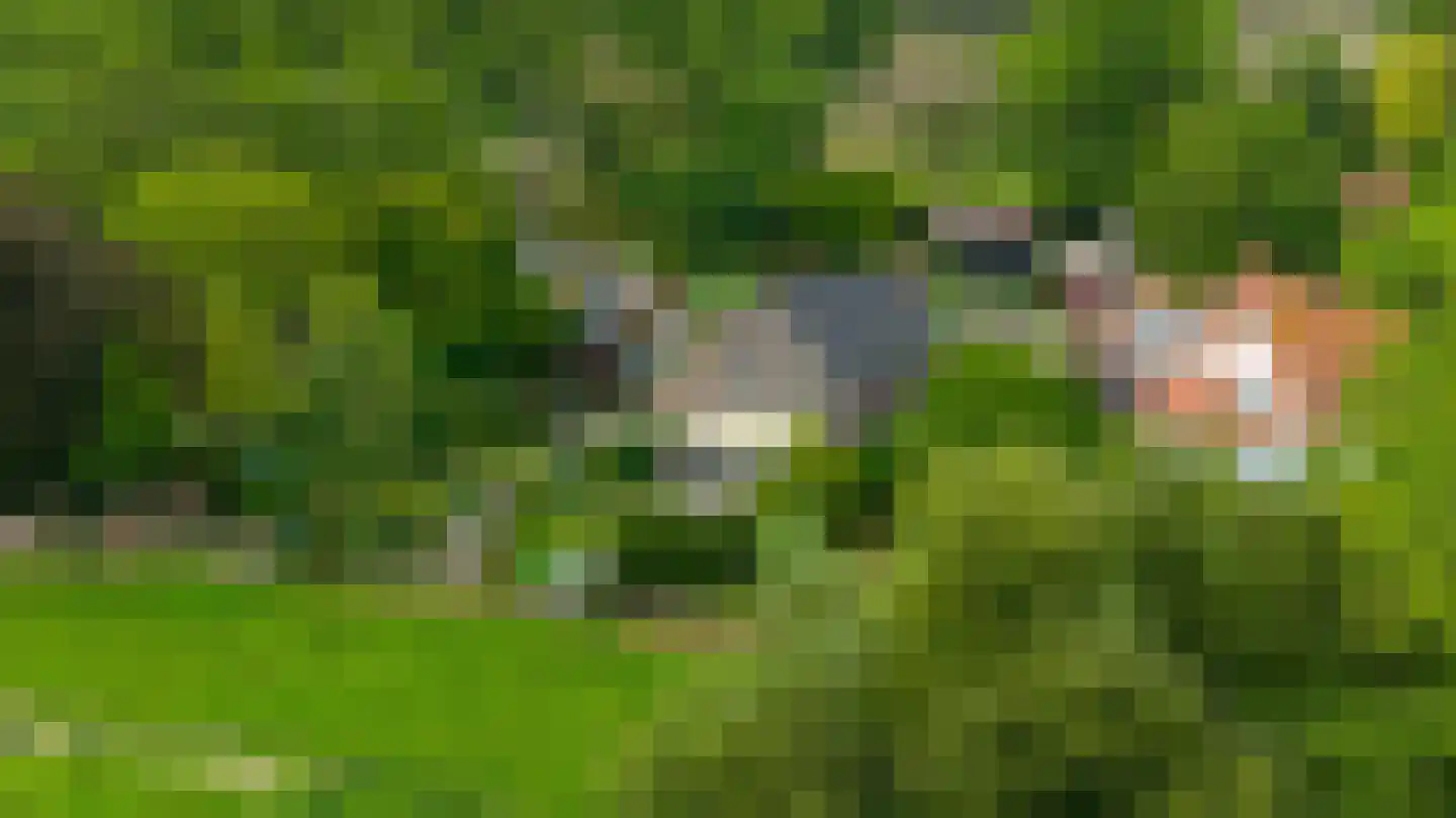 Sasput 5 Schoondijke thumbnail 50