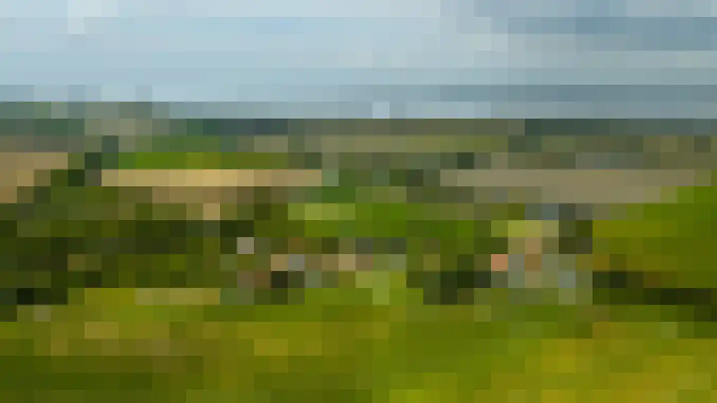 Sasput 5 Schoondijke thumbnail 51