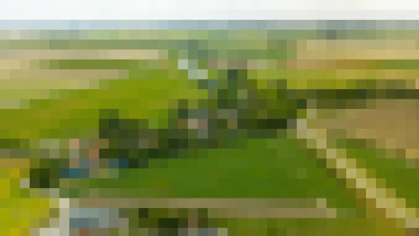 Sasput 5 Schoondijke thumbnail 52