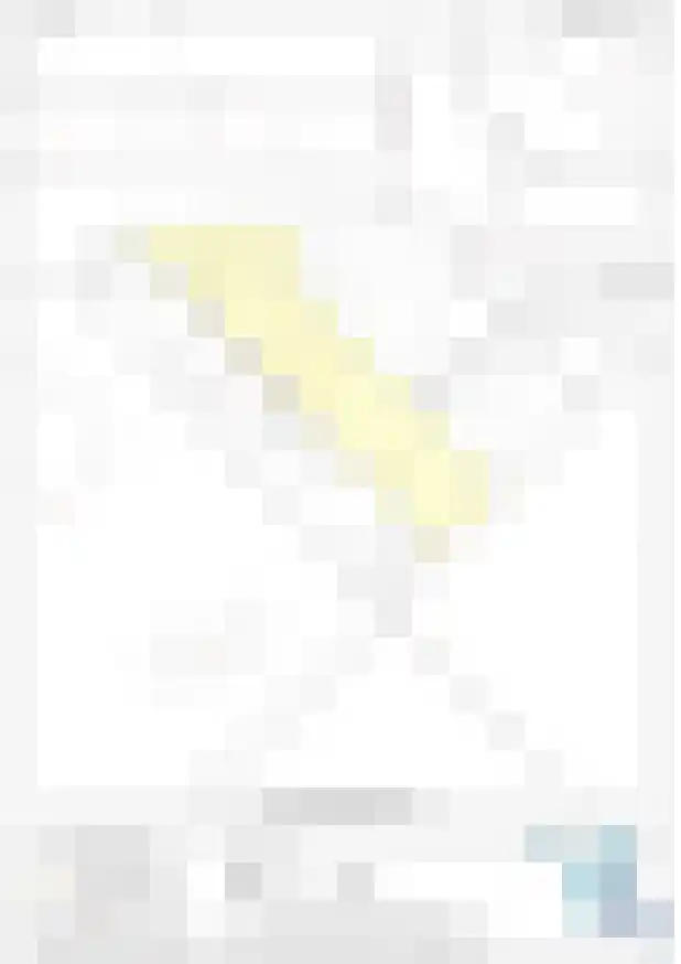 Sasput 5 Schoondijke thumbnail 52