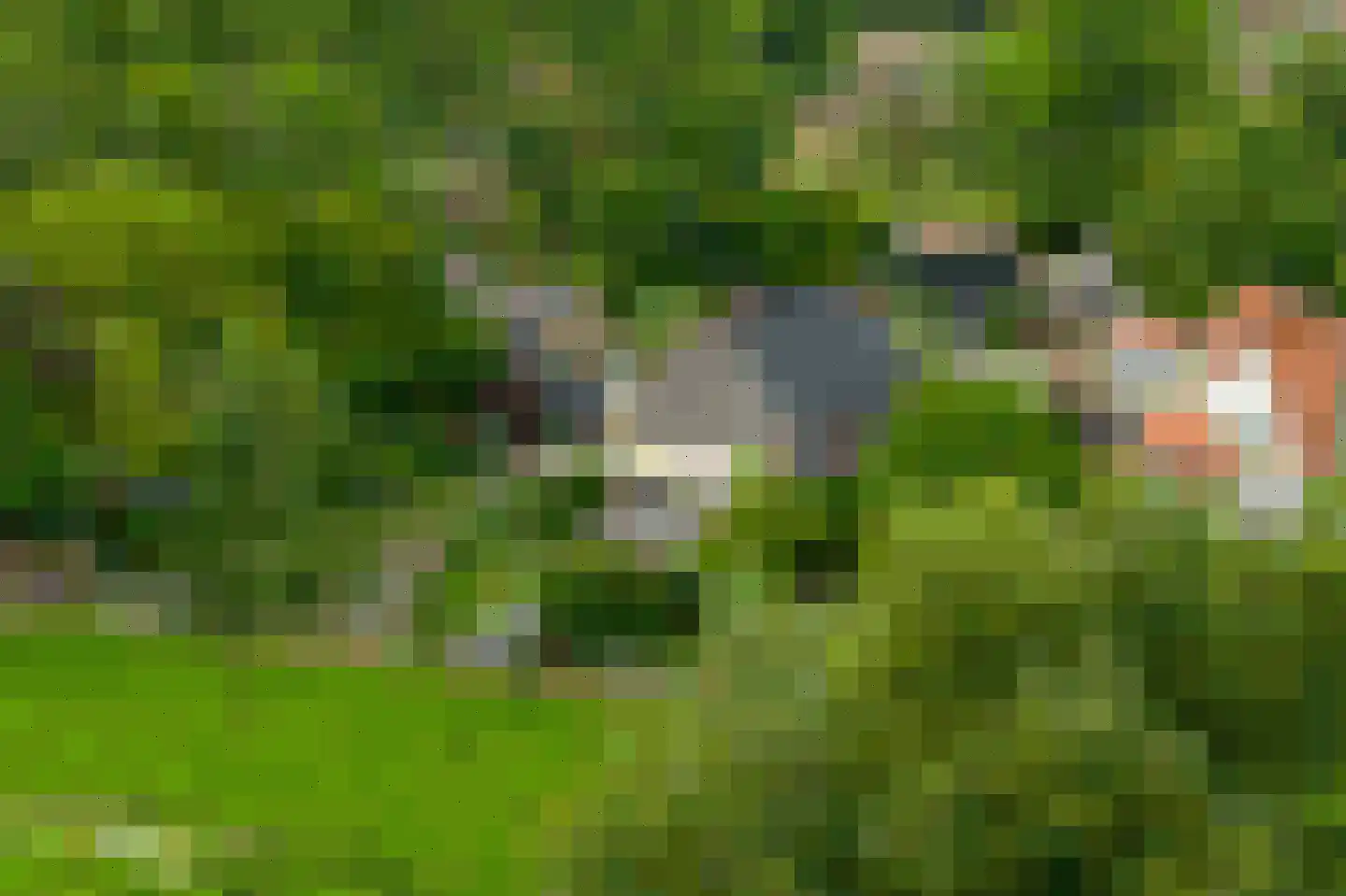 Sasput 5 Schoondijke thumbnail 53