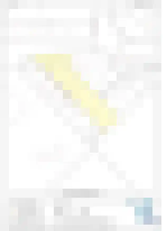 Sasput 5 Schoondijke thumbnail 58
