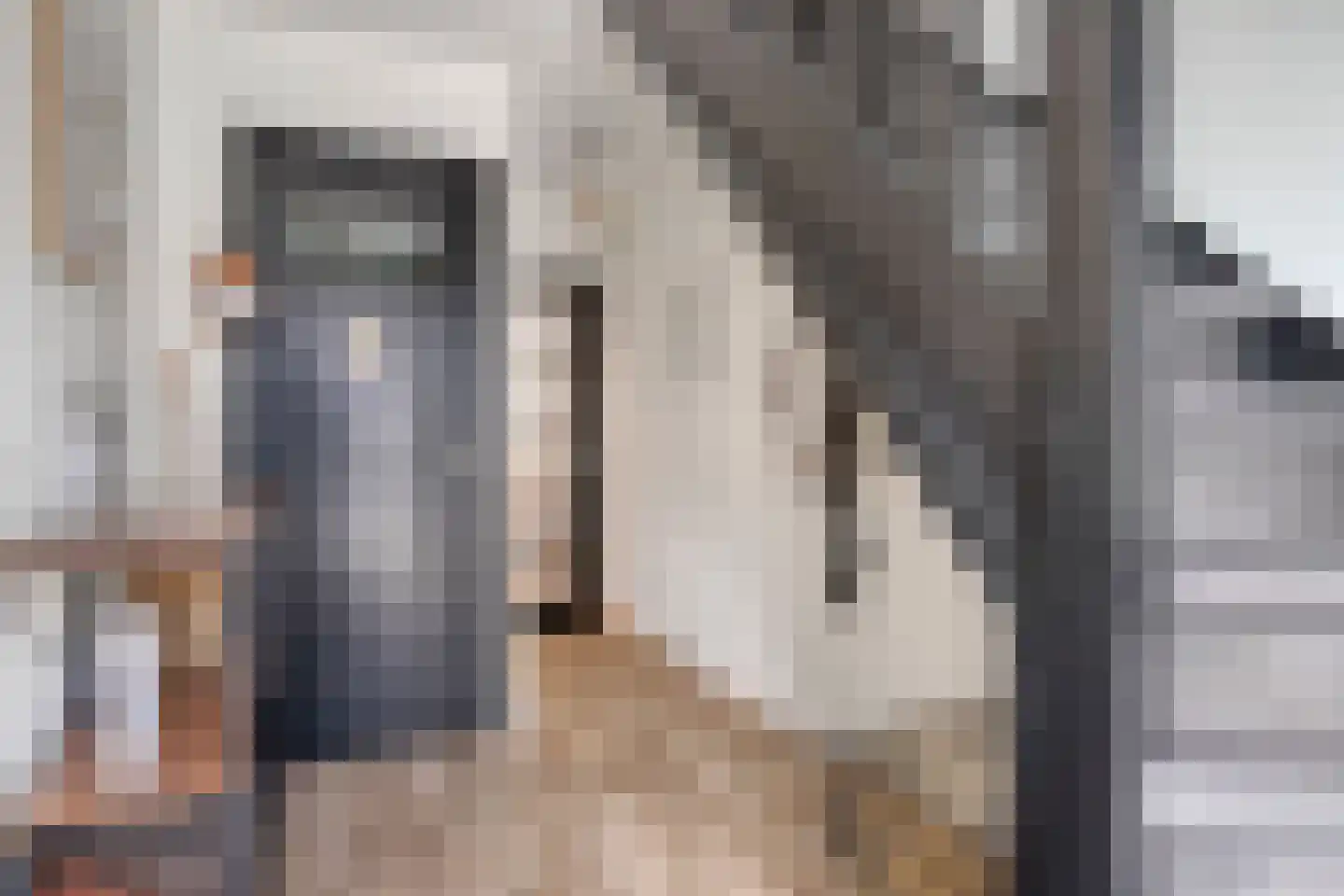 Sasput 5 Schoondijke thumbnail 7