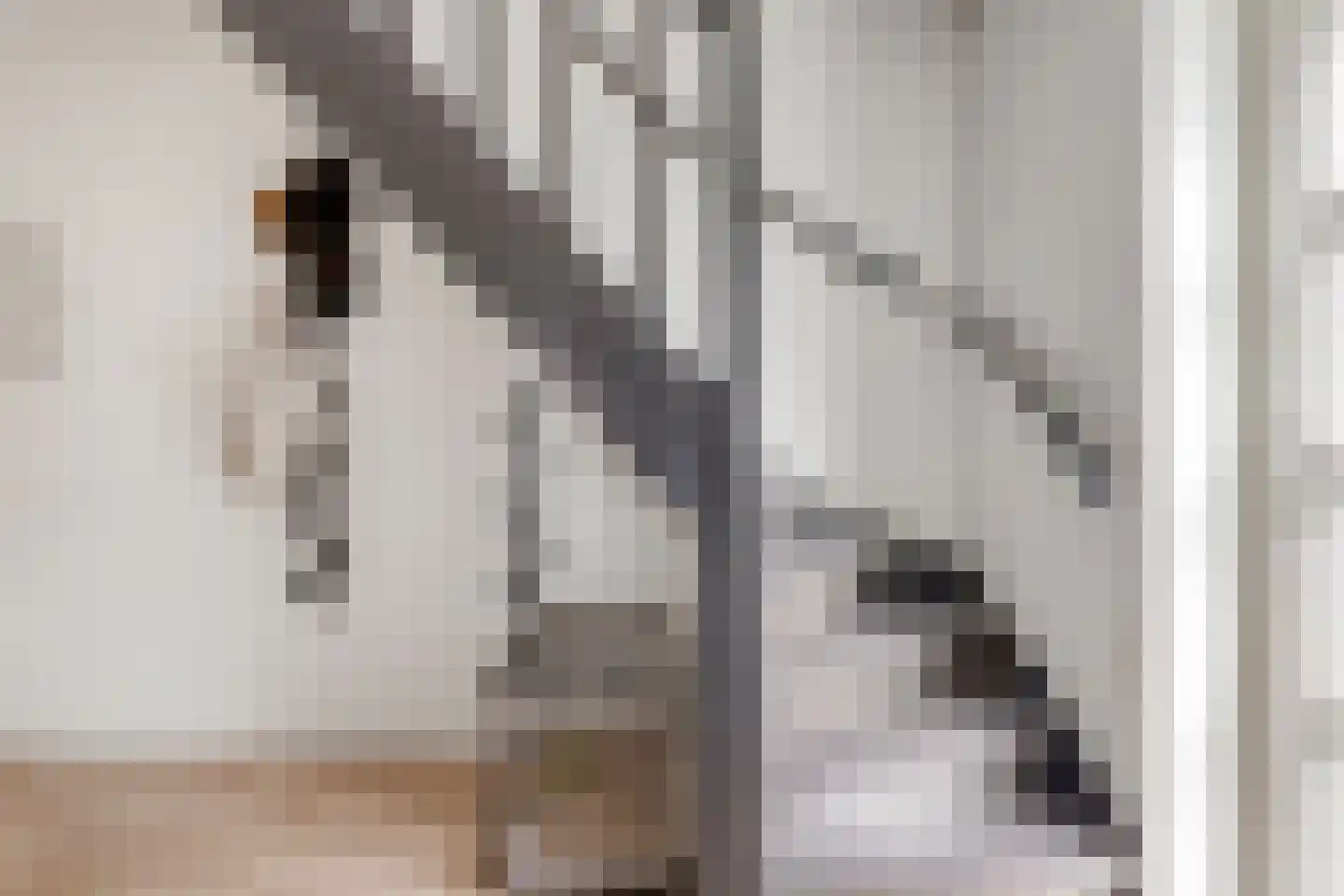 Sasput 5 Schoondijke thumbnail 8
