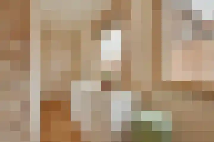 Sasputsestraat 28 Schoondijke thumbnail 10