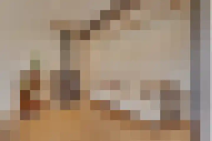 Sasputsestraat 28 Schoondijke thumbnail 11