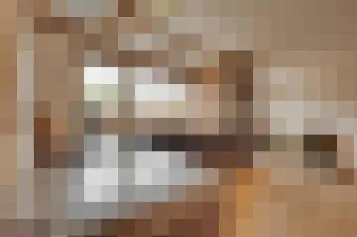Sasputsestraat 28 Schoondijke thumbnail 14
